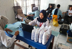 Sambut Hari Donor Darah Sedunia, 3 Rumah Sakit di Jember Himpun 110 Kantong Darah