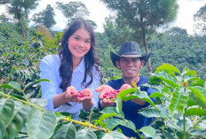 Program Berdampak Rumah Kompos Rengganis, Optimalisasi Limbah Kopi Menjadi Wisata Edukasi Berkelanjutan