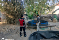 Tindak Lanjuti Laporan Masyarakat, Polsek Porong Datangi Arena Sabung Ayam di Pamotan