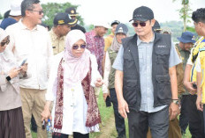 Jaga Swasembada Pangan, Pemkab Lamongan Deteksi Dini Kemarau Ekstrem 