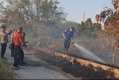Lahan 2.000 M² di Tanjung Lamongan Terbakar, Polisi dan Damkar Gercep Padamkan Api