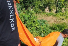 Depresi Usai Dicerai Istri, Pria di Jember Ditemukan Tewas Mengenaskan di Kebun Singkong