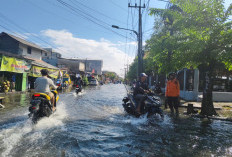 120 Titik Genangan Jadi PR Surabaya, Kolaborasi Pusat-Daerah Mendesak Dituntaskan