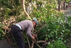 Patroli Wilayah, Satlantas Polres Kediri Bantu Atasi Pohon Tumbang