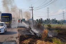 Kebakaran di Gresik Meningkat, Damkar Catat 35 Peristiwa hingga 20 Juli 2026
