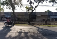 Eks Kepala UPT Tegaskan Kios Pasar Hewan Bakalanpule Lamongan Disewa Resmi, Bukan Jual-Beli