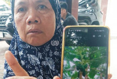 Penggarap Lahan di Lidah Wetan Surabaya Mengaku Diintimidasi Petugas DSDABM
