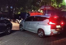 Kejati Jatim Geledah Kebun Binatang Surabaya