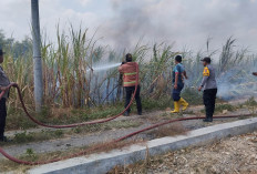 Disapu Angin Kencang, Lahan Tebu 4.000 Meter Persegi di Sambeng Lamongan Ludes Terbakar