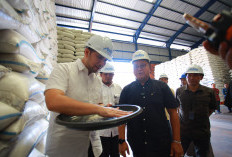 Bulig Jatim Tembus Target Serapan Gabah 100 Persen, Capai 884 Ribu Ton Setara Beras