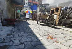 Tragedi Berdarah Wonokusumo, Kawanan Terduga Pelaku Sudah Mengintai Korban Sejak Malam Sebelum Pembantaian