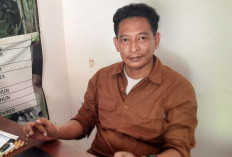 Fenomena Pohon Beringin di Situbondo Kembali Berdiri Setelah Tumbang, Ini Penjelasan Ilmiahnya