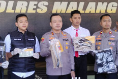 Polres Malang Tangkap Dua Pengunjung PSHT Bawa Sajam saat Pengesahan Anggota