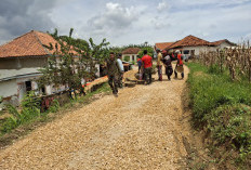Bersama Warga, Satgas TMMD Kebut Pengaspalan Mandala