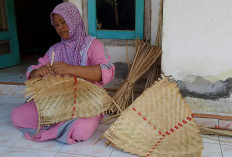 Setia Merawat Warisan Sang Ayah, Perjuangan Perajin Caping Bambu di Jember Menjaga Dapur Tetap Ngebul