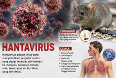 Waspada Hantavirus, BBKK Surabaya Perketat Pengawasan di Pelabuhan Tanjung Perak