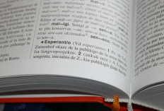 Kenapa Dunia Tidak Menggunakan Satu Bahasa yang Sama? Ini Alasannya