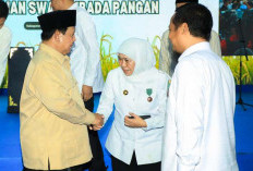 Presiden Prabowo Anugerahi Khofifah Satyalancana Wira Karya atas Swasembada Pangan Jatim