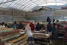 Perempuan Nasabah PNM Mekaar Bandung Barat Kembangkan Usaha dari Limbah Melalui Sinergi Ultra Mikro BRI