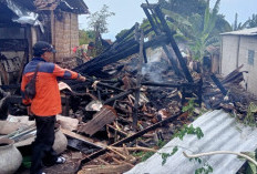 Dua Rumah Hangus Terbakar di Situbondo, Nenek 81 Tahun Lolos dari Maut