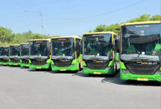  Bus Trans Jatim Bakal Masuk Pasuruan 2027, Pemkab Tunggu Arahan Pemprov