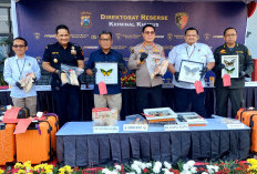Polda Jatim Bongkar Sindikat Penyelundupan Gading Gajah hingga Benih Lobster ke Luar Negeri