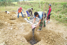 TMMD 127 Perkuat Pondasi Cakar Ayam RTLH Mandala