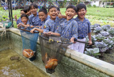 Pasokan Protein Aman, Pemkot Surabaya Ajak Warga Pilih Ikan Sebagai Menu Sehat Ramadan 2026