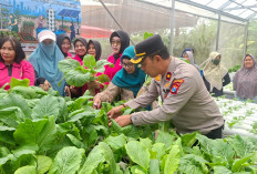 Panen Sawi Caisim di Tengah Kota, Kapolsek Krembangan Ajak Warga Perkuat Ketahanan Pangan dari Lingkungan