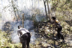 Berkat Call Center 110 Polres Ngawi, Kebakaran Lahan di Bukit Gogor Sine Berhasil Dipadamkan