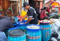 Cuaca Ekstrem Tekan Omzet Pedagang Ikan Pasar Pabean Surabaya hingga 50 Persen