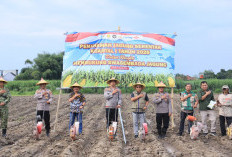 Zoom Bersama Kapolri, Wakapolres Kediri Kota Tanam Jagung di Burengan