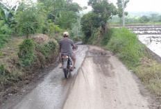 Dilalui Truk Galian, Warga Desa Sugeng Mojokerto Keluhkan Jalan Rusak