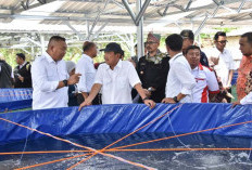 Situbondo Disiapkan Jadi Kampung Lobster Nasional dengan Proyeksi Investasi Rp 2 Triliun