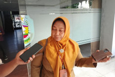 Ratusan Hektare Lahan Pertanian di Situbondo Diserang Hama Tikus Selama Mei 2026
