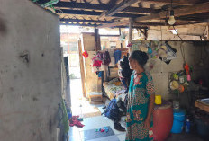 Terkena Proyek Jalan Tembusan Dharmahusada, Belasan Rumah di Mulyorejo Selatan Dibongkar Mandiri