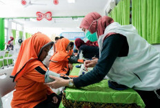 Program Kesehatan dan Pendidikan Bersinar Dapat Apresiasi Tinggi di Satu Tahun Pemerintahan Prabowo