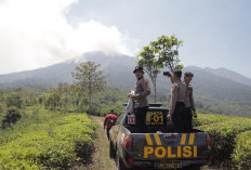 Gunung Buthak Blitar Terbakar, 60 Personel Gabungan Dikerahkan