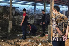 Lurah Tembok Dukuh Surabaya Alihkan Bekas Lapak Unggas untuk Tampung Pedagang Jalanan