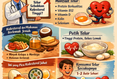 Cerita  Seputar Telur