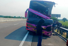 Bus Tabrak Truk di Tol Paspro, Satu Penumpang Tewas