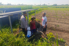 Kawal Ketahanan Pangan, Polsek Tempeh Turun Langsung ke Lahan Pertanian Warga