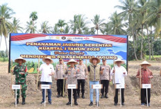 Kapolresta Banyuwangi Pimpin Tanam Raya Jagung Dukung Swasembada Pangan