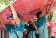 Jember Resik-Resik! Satgas Gabungan Tertibkan Reklame Liar dan Kembalikan Hak Pejalan Kaki di Trotoar