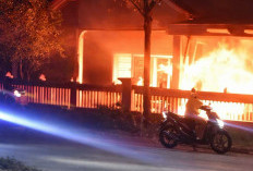 Petaka di Balik Kap Mesin: Niat Perbaiki Mobil, Rumah Warga Jember Ludes Dilalap Api