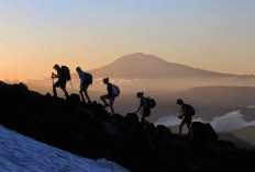 Habis Turun Gunung Jangan Langsung Nyetir, Microsleep Bisa Mengintai
