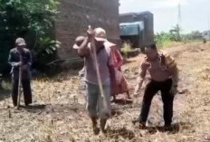 Dukung Asta Cita Ketahanan Pangan, Polisi Pantau Tanaman Kentang di Dataran Bromo Tosari 