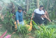 Pria Ditemukan Meninggal Tergantung di Pekarangan Rumah di Jember, Polisi Selidiki Penyebabnya