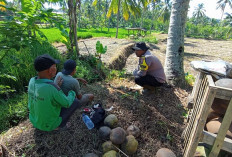 Kawal Asta Cita Presiden, Polsek Senduro Dampingi Petani Lumajang Perkuat Ketahanan Pangan