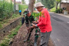 Babinsa Pesantren dan Poktan Tani Harapan lakukan penghijauan lingkungan Pagut Kediri